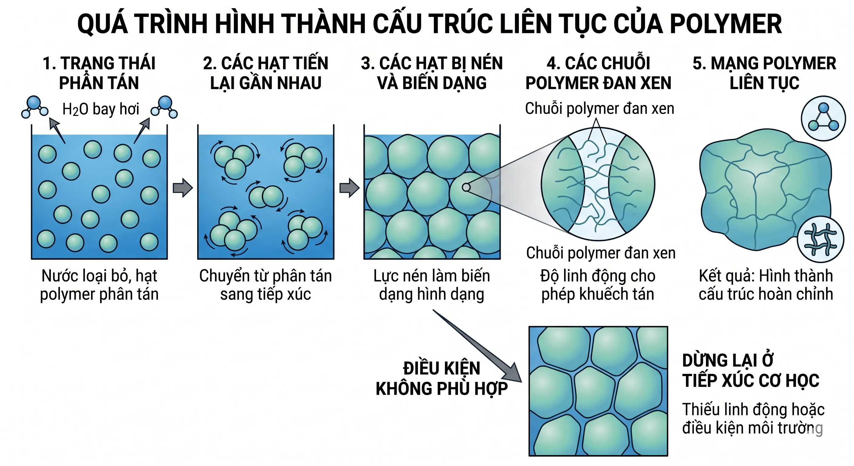 quá trình hình thành polymer